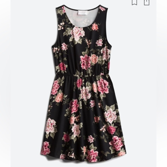Evalynn Dresses & Skirts - Women’s Evalynn Brushed Knit Dress in Black with Pink and Green Floral Pattern